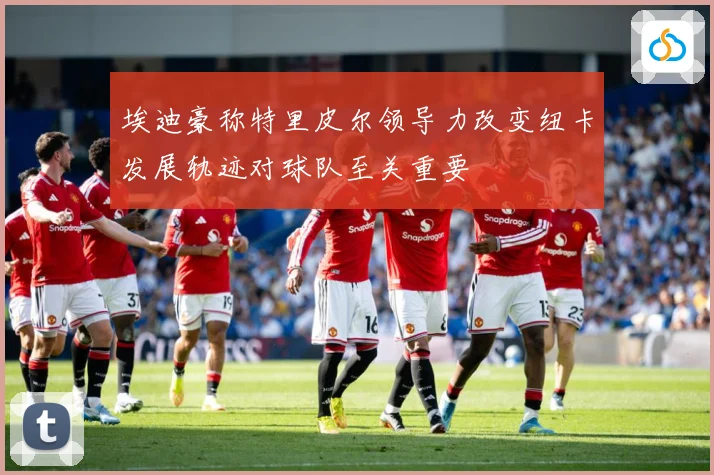 埃迪豪称特里皮尔领导力改变纽卡发展轨迹对球队至关重要