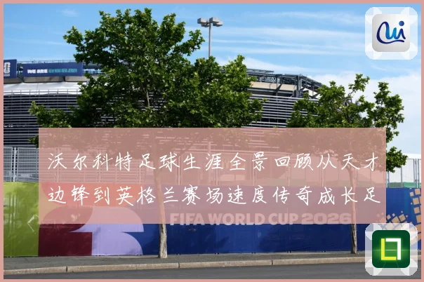 沃尔科特足球生涯全景回顾从天才边锋到英格兰赛场速度传奇成长足迹