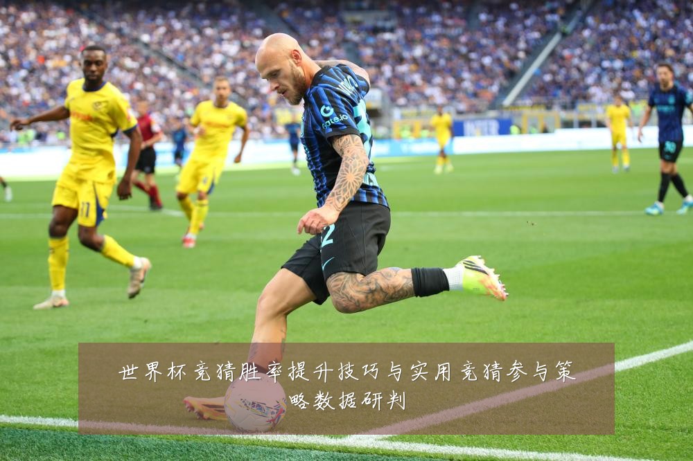 世界杯竞猜胜率提升技巧与实用竞猜参与策略数据研判